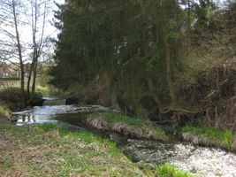Kocába 2 Daleké Dušníky 8.4.11 (6).jpg